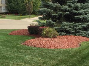 Landscaping Continuum Services